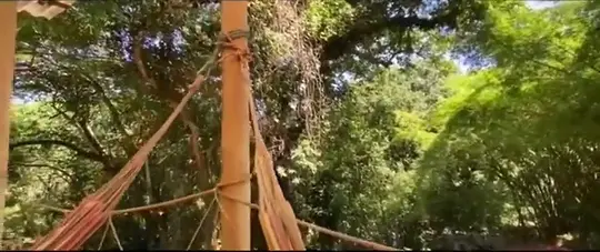 Hamacas en la terraza de madera entre los árboles.