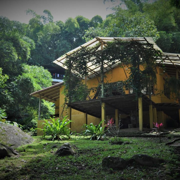 La casa amarilla de dos pisos con pérgola de guadua, entre árboles altos.