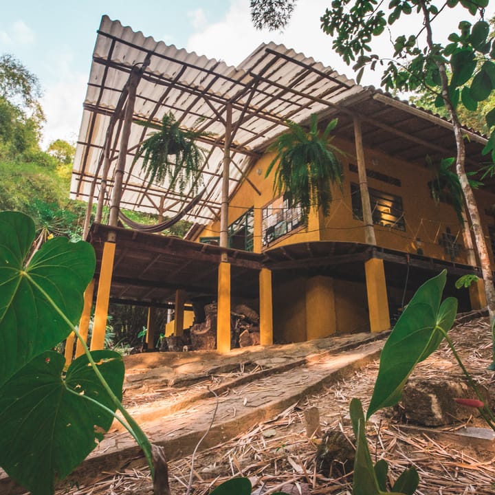 La casa amarilla sobre pilotes con su techo de guadua, vista desde abajo entre hojas grandes.