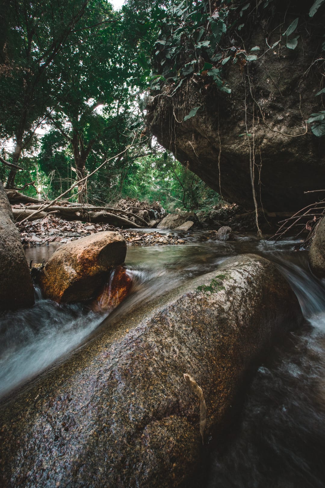 El agua del río corre alrededor de una piedra grande, en una foto de larga exposición.