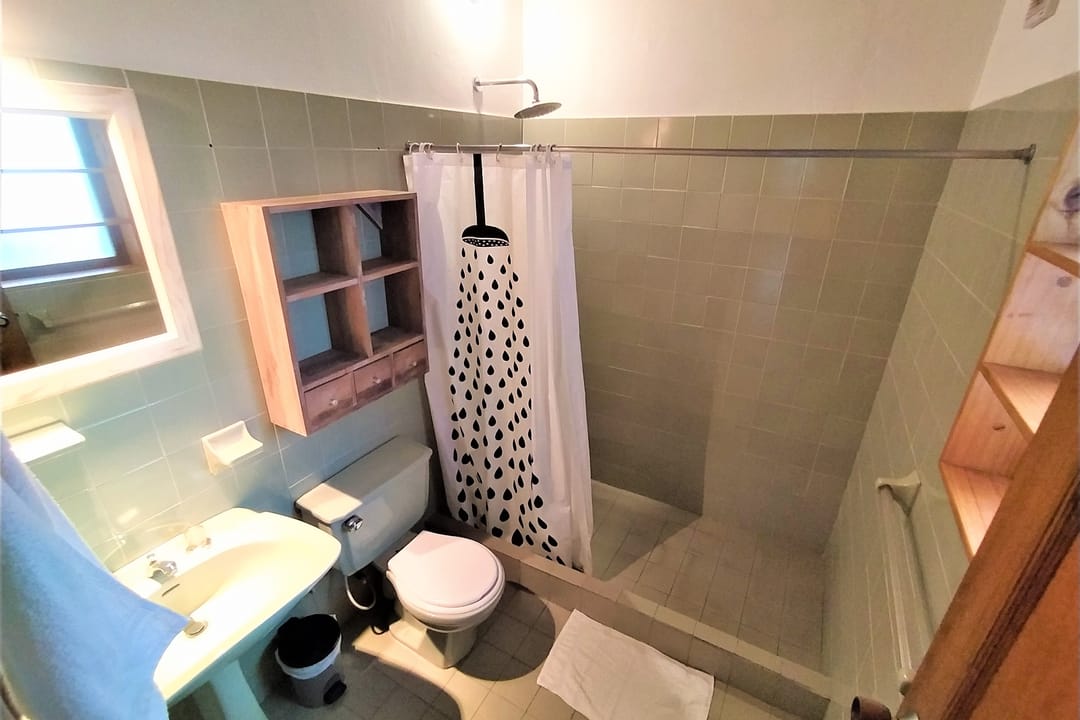 Baño de baldosa verde pálido con ducha de cortina de gotas, inodoro y lavamanos.