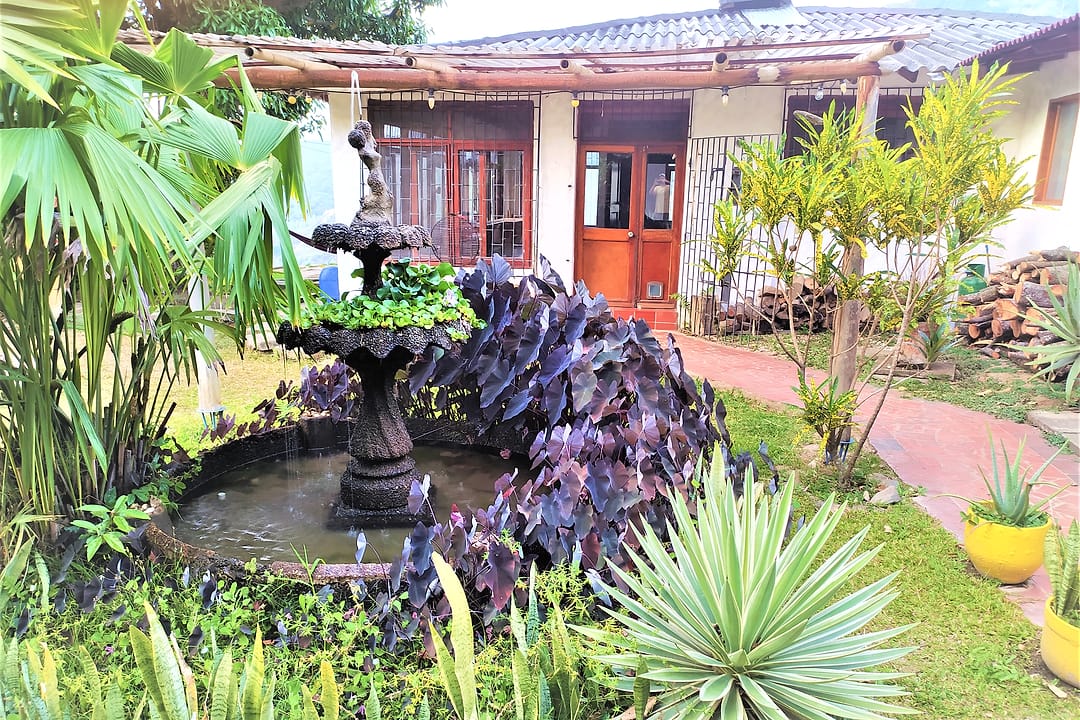 Jardín con una fuente de piedra, plantas de hojas moradas y agaves frente a la casa principal, de paredes blancas y puertas de madera rojiza.