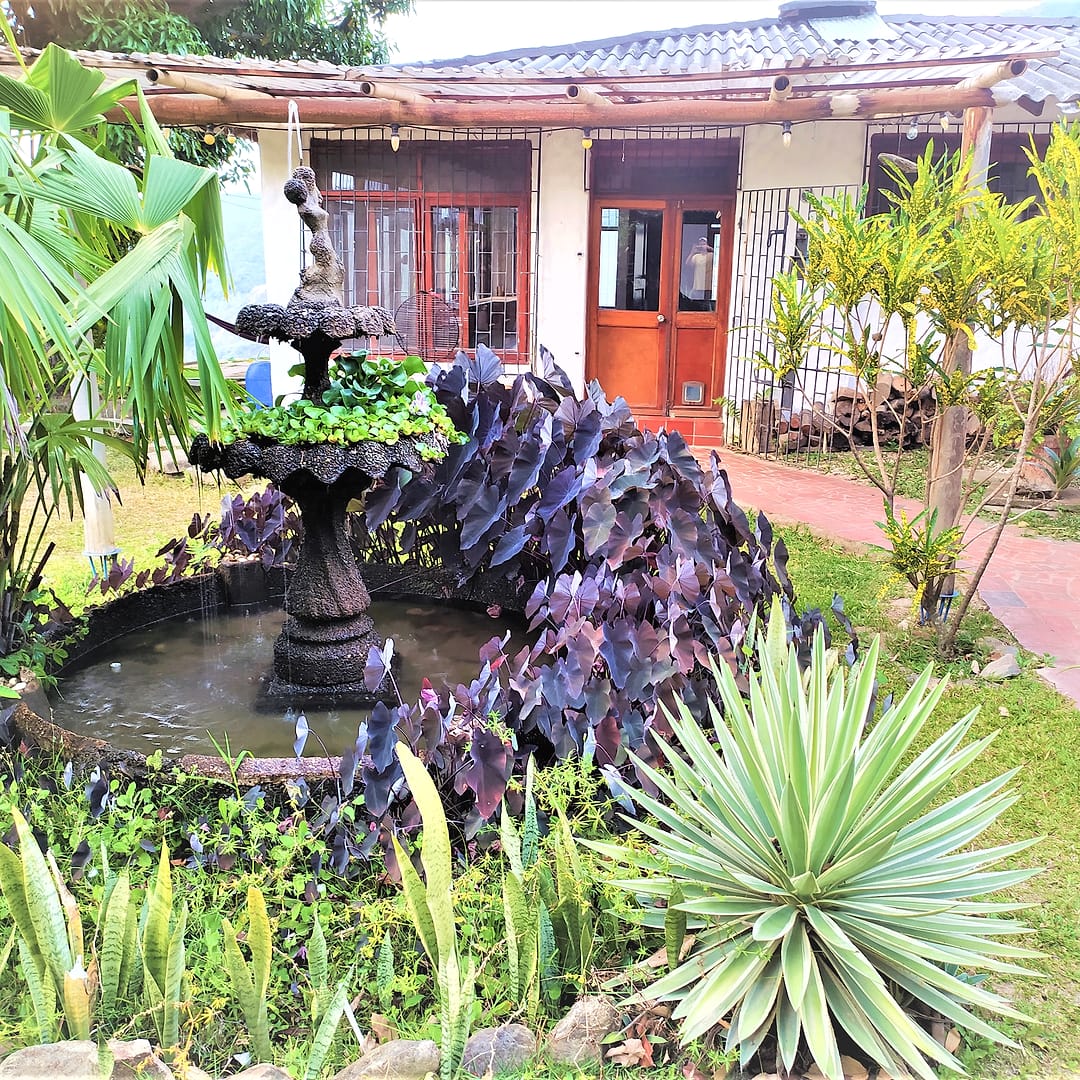 Jardín con una fuente de piedra, plantas de hojas moradas y agaves frente a la casa principal, de paredes blancas y puertas de madera rojiza.