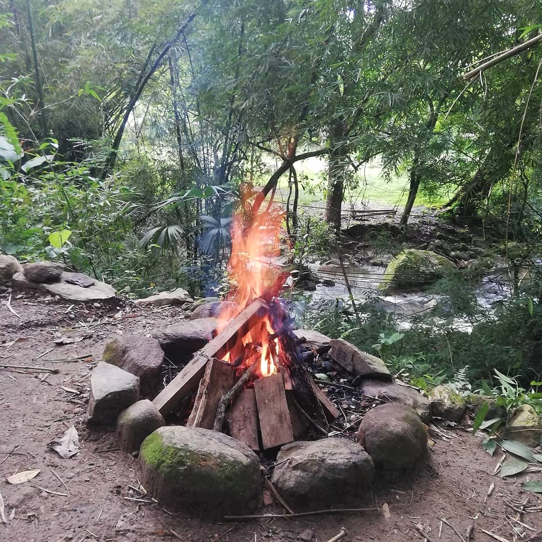 Una fogata en un círculo de piedras junto al río, bajo árboles altos, con las rocas del cauce al fondo.